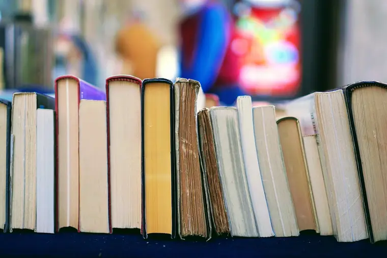 Reading